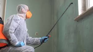 Best Industrial Mold Remediation  in Bloomer, WI