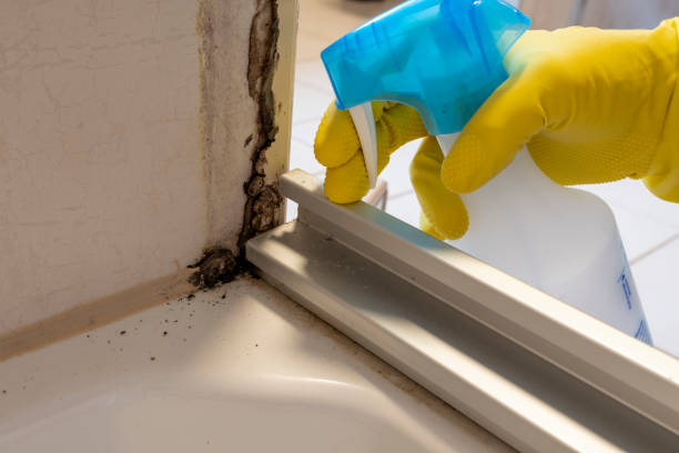 Best Real Estate Mold Inspection  in Bloomer, WI